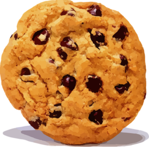 Une image de cookie aux pépites de chocolat, c'est une blague.